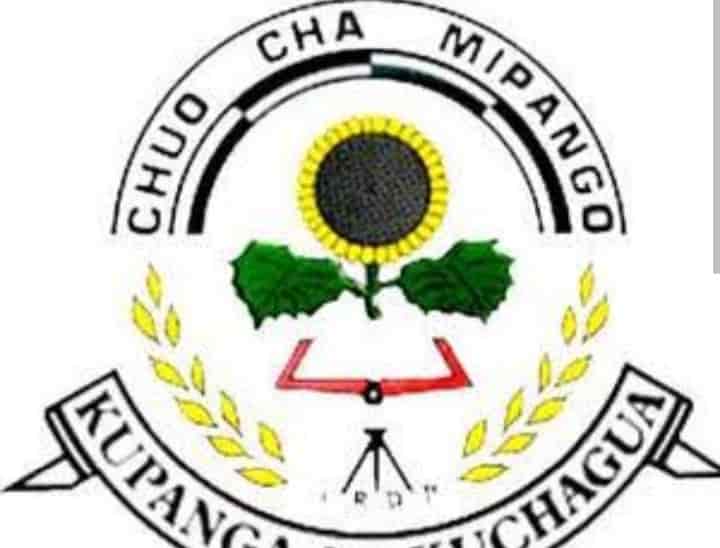 Chuo Cha Mipango (IRDP)