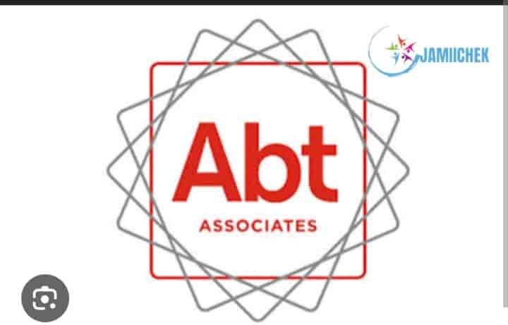 Abt Associate Tanzania, Finance