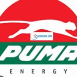 Puma Energy Tanzania, sales