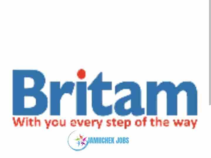 Britam Insurance Tanzania, Secretary, Motor Assessor