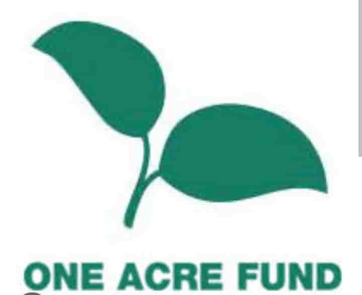 Tanzania impact lead, One Acre Fund