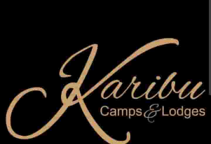 Karibu Camps and Lodges, Sales Manager