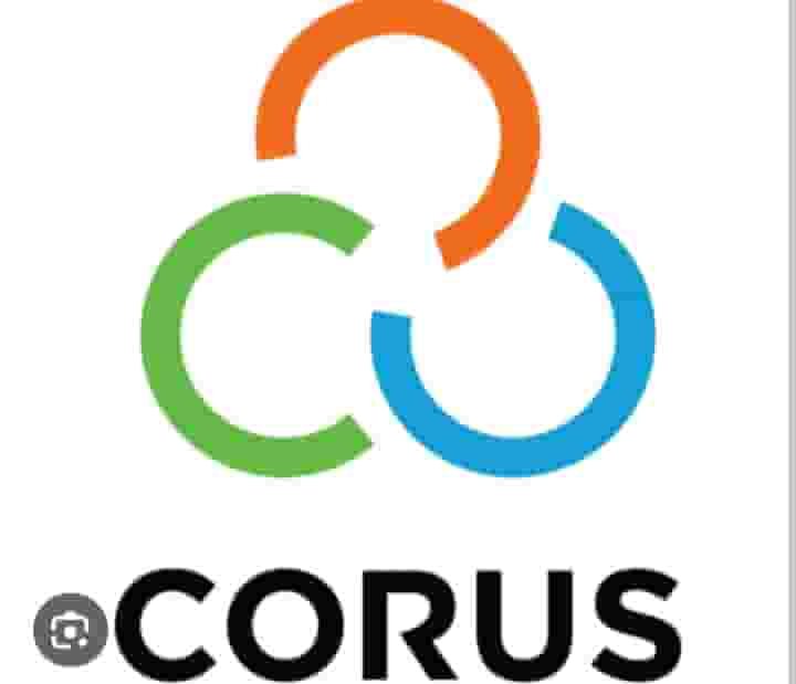 Corus International, Monitoring and evaluation, Procurement, Finance