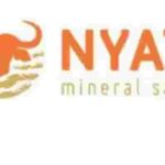 Nyati minerals Sand , Electricity