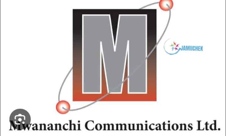 Mwananchi Communication Limited,head of marketing and Sustainability