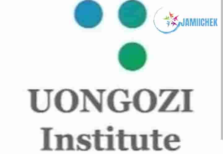 Uongozi Institute Tanzania