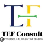 TEF Consult Tanzania