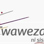 Twaweza Tanzania