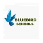 Blue Bird School