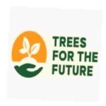 Tree for the future